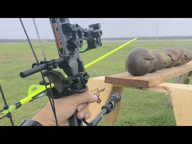 fresh coconut vs arrows